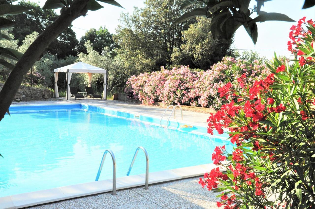 Agriturismo Pereti Roccatederighi Bagian luar foto