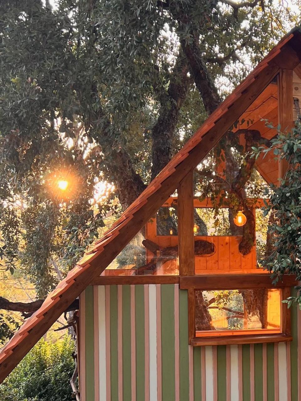 Agriturismo Pereti Roccatederighi Bagian luar foto