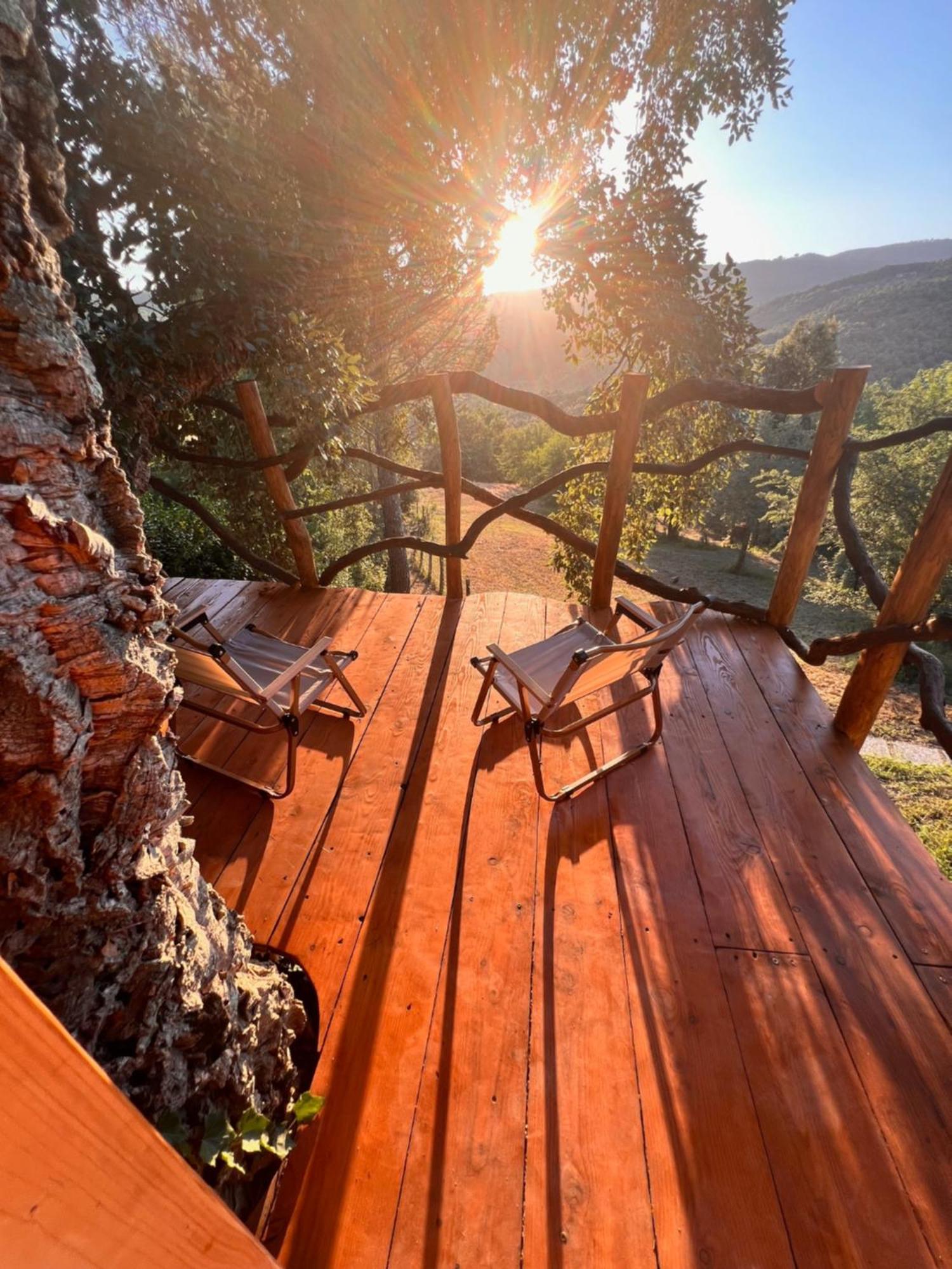 Agriturismo Pereti Roccatederighi Bagian luar foto
